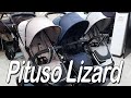 Прогулочная коляска Pituso Lizard - Обзор премиум прогулки из Испании