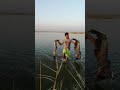 صيد الطيور في الاهوار 2021