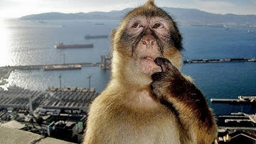 A Mending of This World