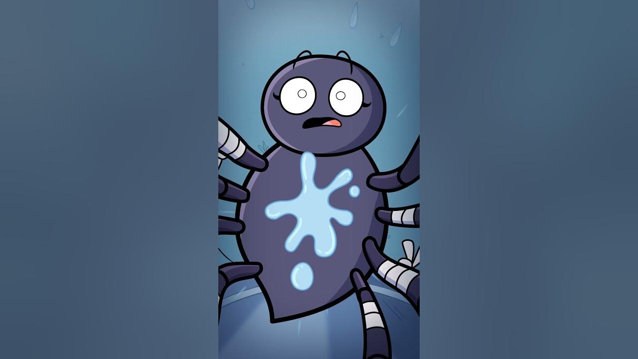 The Itsy-Bitsy Spiders