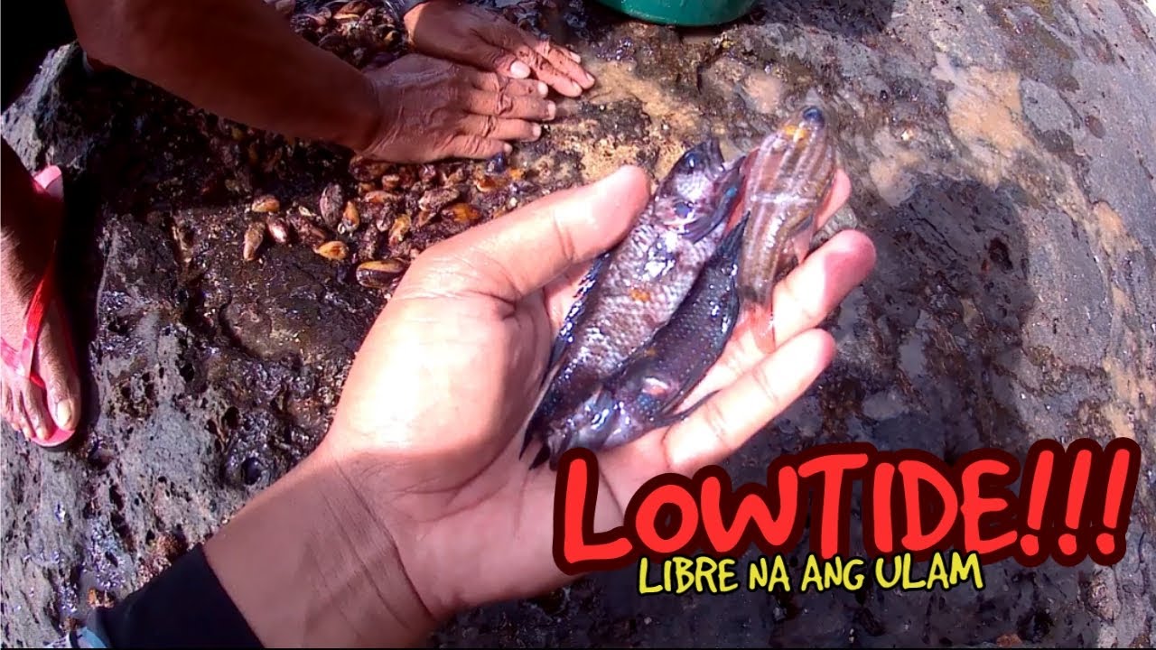 TAHONG ANG AKING NAKUHA NGAYON