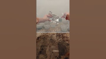 From Spore Print to Agar: Mushroom Cultivation At Home | DIY Mycology