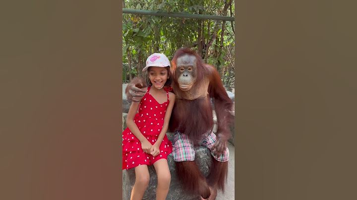first experience with the famous orangutan. must visit!! bangkok thailand