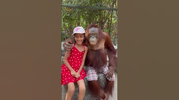 first experience with the famous orangutan. must visit!! bangkok thailand