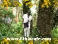 Ethiopian Che Bel Ferese 