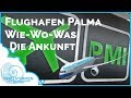 Ankunft am Flughafen Palma de Mallorca ✈️ | Wie - Wo - Was?!