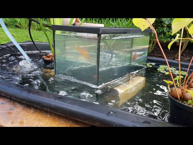 aquarium inversé sur bassin 700L 