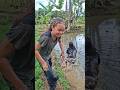 Teteh Ngerjain Pipah#trendingshorts #tetehchannel