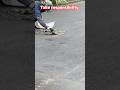 Indian road contractors learn from Japan #tvk #shorts