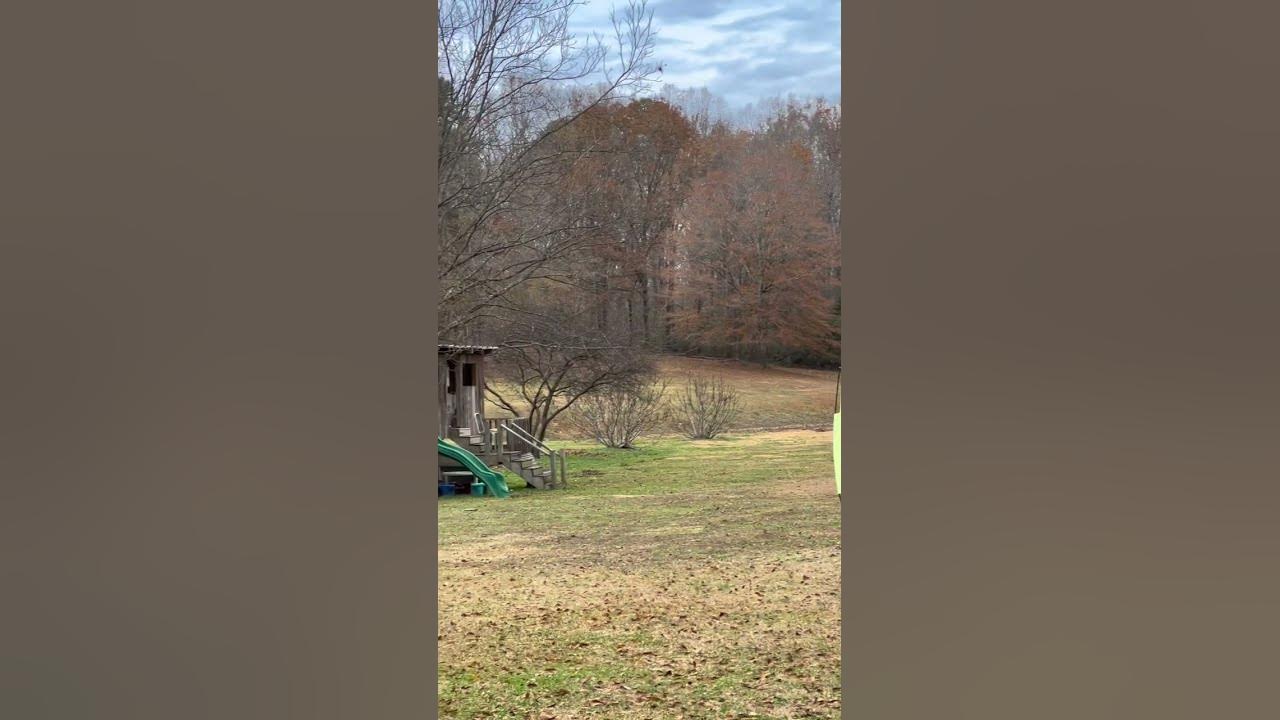 gone-forever-aaron-hernandez-youtube
