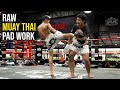 Raw Muay Thai Pad Work with Silk Muay Thai's Next Gen Fighters
