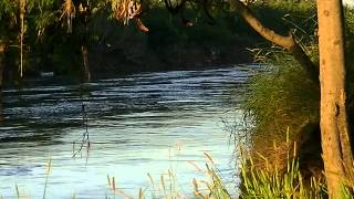 Río Carcarañá Santa Fe 006