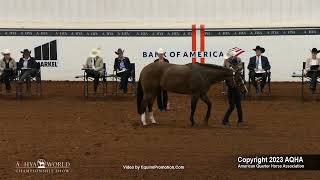 2023 Showmanship 13 & Under - AQHYA World Championship Show