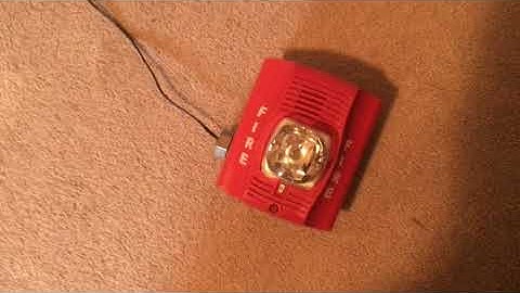 System Sensor SpectrAlert Advance Strobe Test #FireAlarmFriday