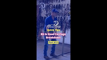 Bit And Head Carriage Breakdown! Part 12! | The Horse Guru-Michael Gascon