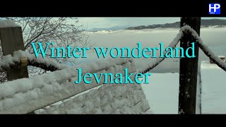 Winter Wonderland, Jevnaker 2023 (B. Springsteen)