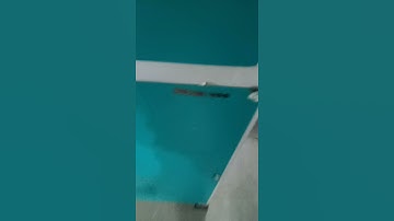 Sugarcane peeling machine packing video serial number 400