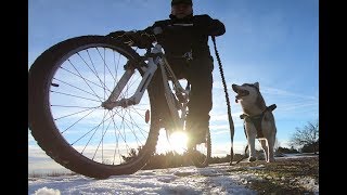 Follow Lihkku Day 7 &quot;bicycling&quot;  Siberian Husky