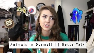 Animals in Dorms! || Betta Talk