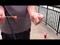 BLOWGUN Hunting GIANT Frogs: How To