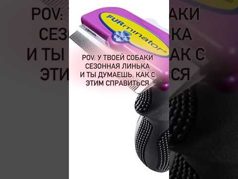 Лучшее средство от линьки - привести своего питомца в наши #груминг салоны Моника #линька #собаки