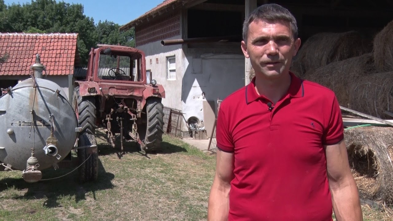 Farma svinja - Čokešina