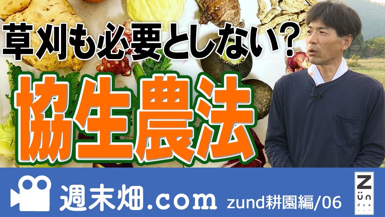 怪しい？画期的？サスティナブル？協生農法に挑戦 - YouTube