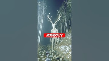 Wendigo Cam Footage!!   #strangeai #cryptid #wendigo