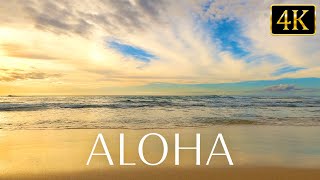 【心が癒される波の音】ハワイにワープする穏やかな海の音で疲労回復｜リラックス｜睡眠｜４K映像・自然音３時間 Hawaiian Beach Waves for Relaxation and Sleep