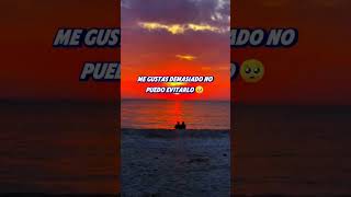 Te amo