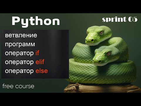 Видео: Ветвление в Python. Операторы if, elif, else - на примерах