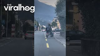 Cyclist Carries Shelves on Bike || ViralHog