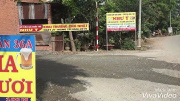 Hồ câu Như Ý! Và những pha lên cá cực khủng