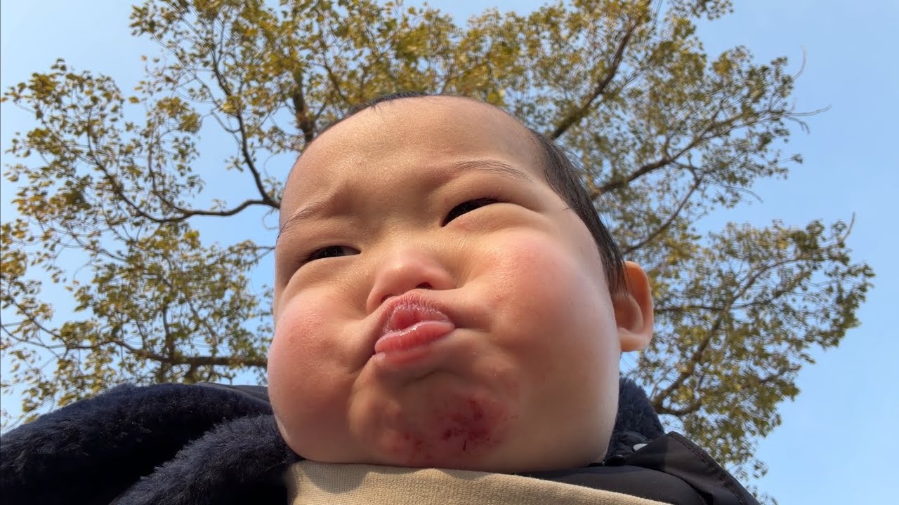 【赤ちゃんvlog｜7ヶ月】「ぶーっ」がマイブーム/たくさんハイハイした日 生後233日