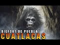 Bigfoot de puebla  cuatlacas  criptozoologia