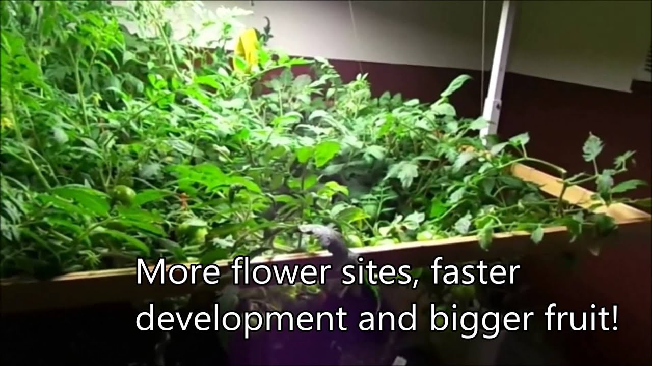 Latest Inda-Gro-Pfr Pontoon Report 3-2013