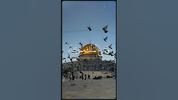 المسجد الاقصى المبارك مع قرآن كريم 🕌🕊 المسجد الاقصى المبارك / القدس/ فلسطين الشيخ أحمد العجمي #gaza