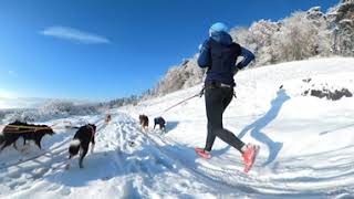 360° Wintertrailrun - 1st. Try Video - Insta360 One X2 by cocoshunter99 50 views 4 months ago 42 seconds