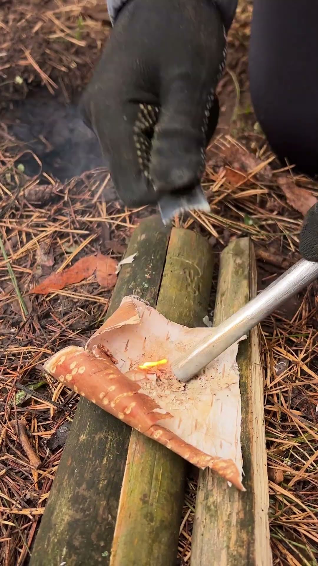 The GIRL teaches how to SURVIVAl?#camping #survival #bushcraft #outdoors #marusya #shiklina #cooking