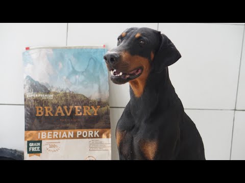 Vídeo: WellPet Recorda Voluntàriament Menjar Per A Gossos En Conserva De Vedella