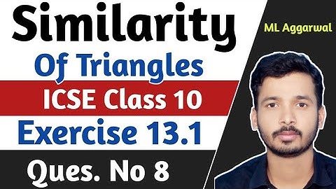 Similarity ICSE Class 10 | ICSE Class 10 Chapter 13 Ex 13.1 Q.No 8 | Exercise 13.1 | M L Aggarwal