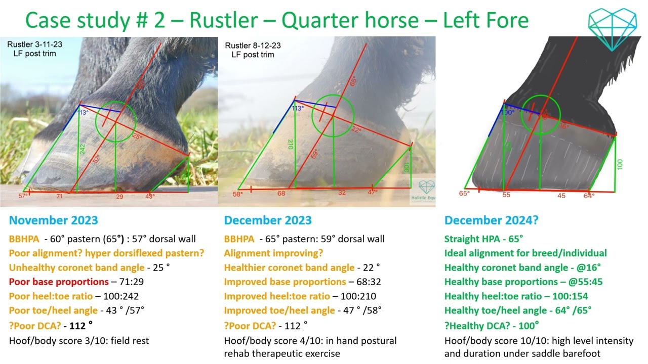 Case Study - Rustler - a quarter horse with a hoof score of 4/10 and how mapping reveals a secret