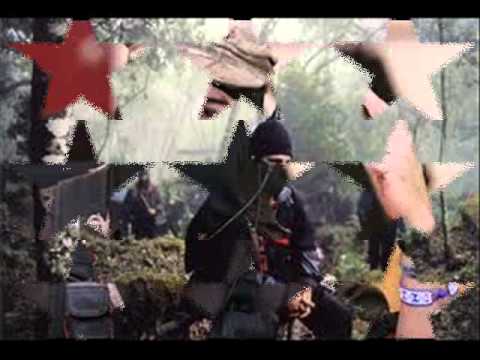 studio one dub _  Bionic Dub