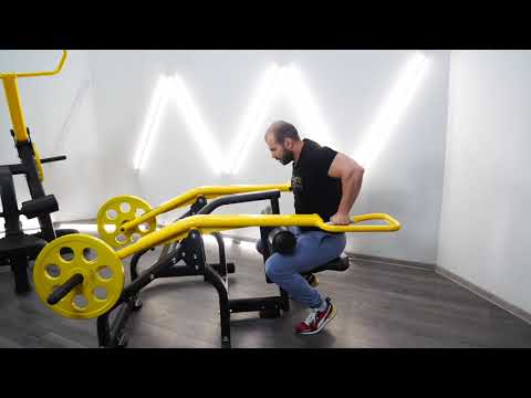 Верхняя тяга BRONZE GYM PL-1703 и Трицепс BRONZE GYM PL-1712