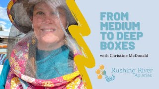 Transitioning Bees from Medium to Deep Hive Boxes