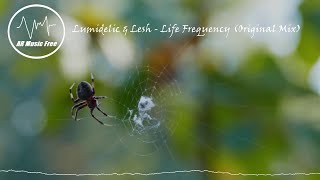 Lumidelic & Lesh - Life Frequency (Original Mix)