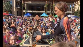 Monarch Butterfly and Pollinator Festival 2017 Release