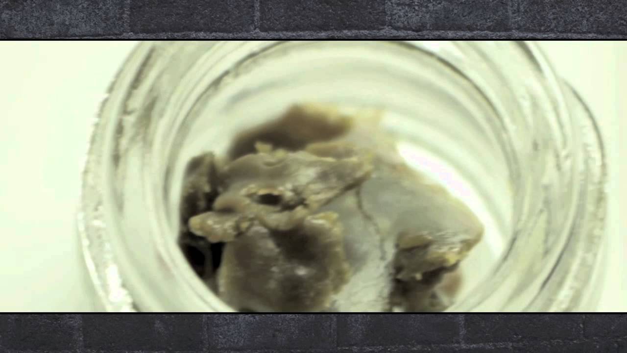 PenPal - Official Music Video by DJ IGNITE FT. Mendo Dope,CVC and Tone-E