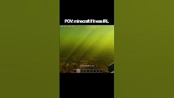 POV minecraft if it was IRL