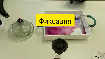 Окраска простым методом